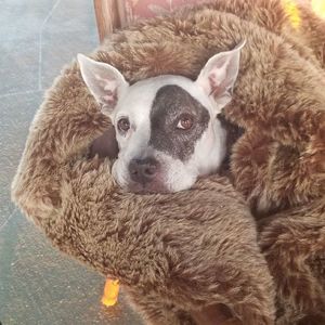 Meet your Posher, Nora